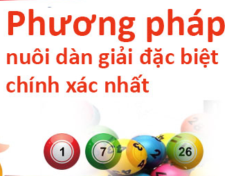 Phương pháp nuôi lô dàn hiệu quả